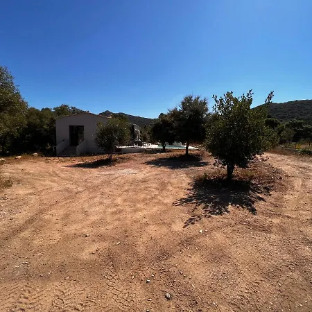 Ena Figari (Corsica)