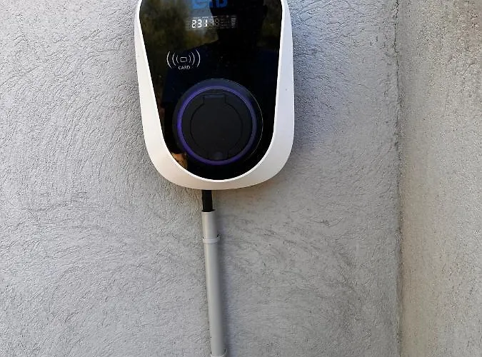 Ena * Figari (Corsica)