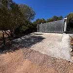 Ena * Figari (Corsica)